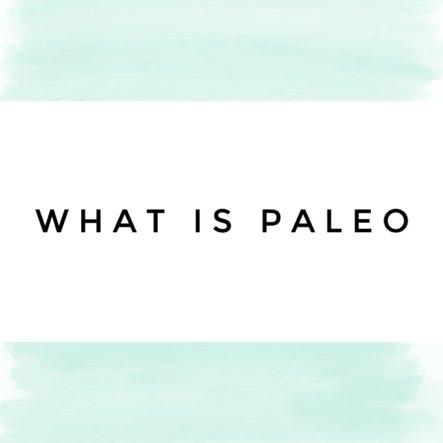 What is Paleo? A Brief Introduction