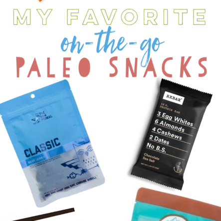 On-The-Go Paleo Snacks: My Top 15 Favorites
