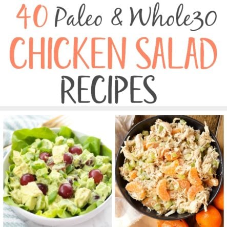 40 Paleo Chicken Salad Recipes Full of Flavor (Whole30, Low Carb)