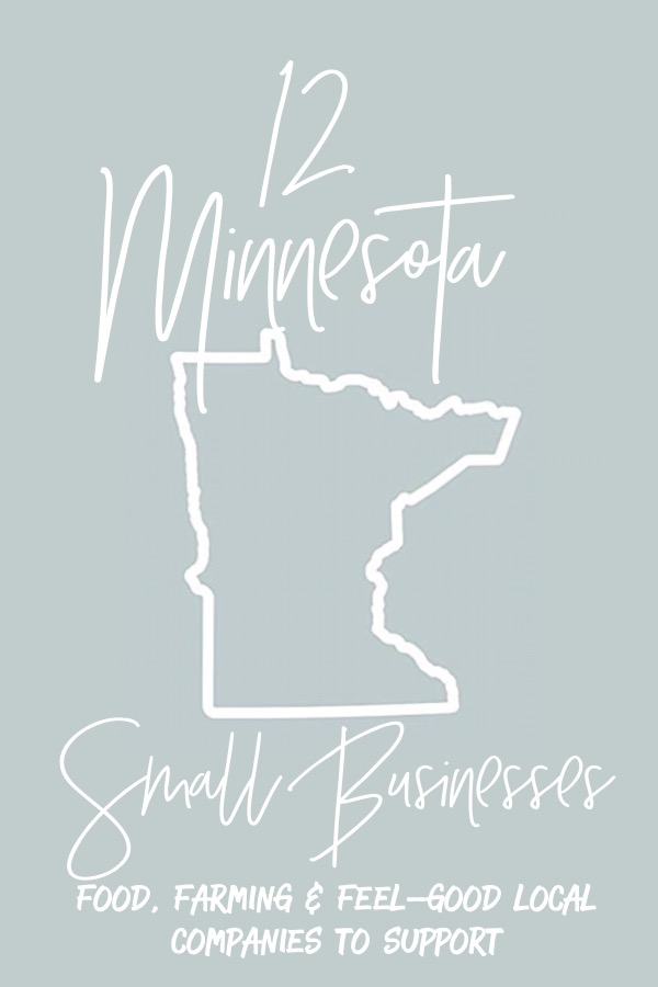 Minnesota small businesses