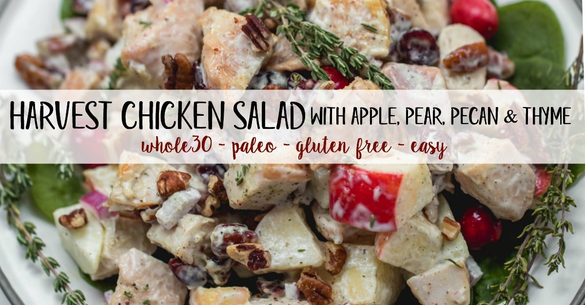 This harvest chicken salad is loaded with the best seasonal flavors like apples, pears, cranberries, pecans and thyme. It's a Whole30, Paleo, gluten and dairy-free version of a traditional mayo chicken salad that's been revamped to hold a spot on the holiday table or to be a new favorite meal prep recipe all fall and winter long. #whole30chicken #whole30chickensalad #paleochickensalad #wintersalad #harvestchickensalad