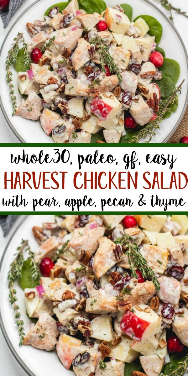 This harvest chicken salad is loaded with the best seasonal flavors like apples, pears, cranberries, pecans and thyme. It's a Whole30, Paleo, gluten and dairy-free version of a traditional mayo chicken salad that's been revamped to hold a spot on the holiday table or to be a new favorite meal prep recipe all fall and winter long. #whole30chicken #whole30chickensalad #paleochickensalad #wintersalad #harvestchickensalad