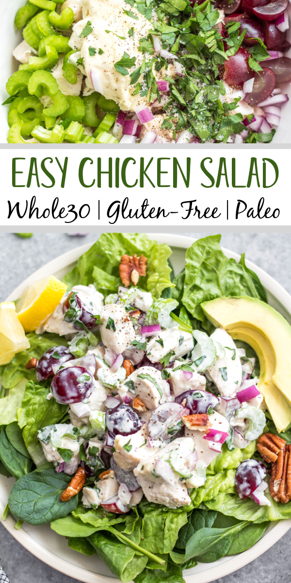 This classic chicken salad is an easy meal prep recipe that's Whole30, Paleo, gluten-free and low carb! It's made with grapes, celery and mayo and only a few other simple ingredients, making it a quick option to throw together, and is a great way to use leftover chicken. It's perfect for storing in the fridge and enjoying over greens for lunches, for a gathering, or a family meal that takes under 30 minutes to make! #whole30recipes #whole30chickensalad #classicchickensalad #ketochickensalad #lowcarbchicken #whole30chickenrecipes #chickensaladwithgrapes