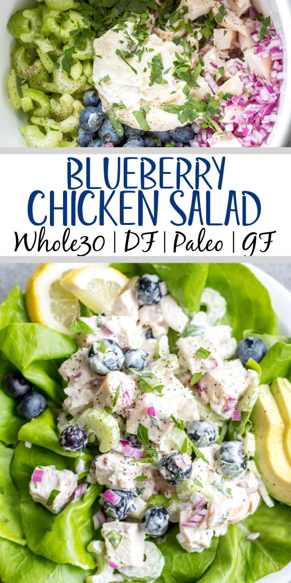 This easy blueberry chicken salad is an easy, healthy salad recipe that's perfect for meal prep lunches or as a way to use leftover chicken. It's Whole30, Paleo, dairy-free and only uses a few simple ingredients. It's great as leftovers, or simple to throw together for gatherings. Made with celery, mayo, pecans and red onion, this Whole30 salad comes together in under 30 minutes! #whole30chickenrecipes #whole30chickensalad #blueberryrecipes #lowcarb #paleochicken