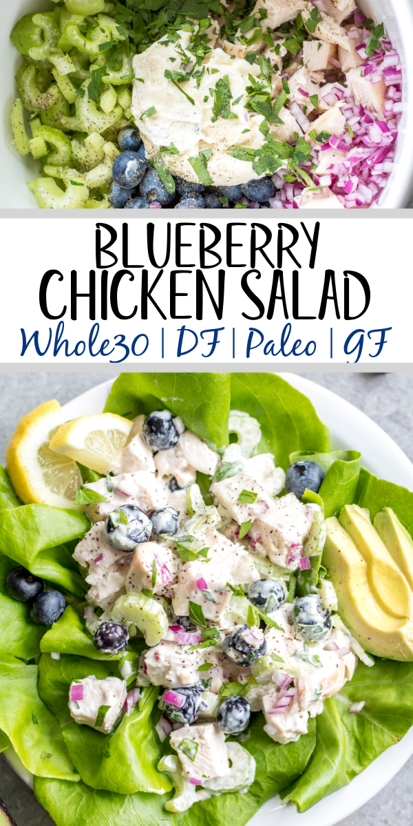 This easy blueberry chicken salad is an easy, healthy salad recipe that's perfect for meal prep lunches or as a way to use leftover chicken. It's Whole30, Paleo, dairy-free and only uses a few simple ingredients. It's great as leftovers, or simple to throw together for gatherings. Made with celery, mayo, pecans and red onion, this Whole30 salad comes together in under 30 minutes! #whole30chickenrecipes #whole30chickensalad #blueberryrecipes #lowcarb #paleochicken