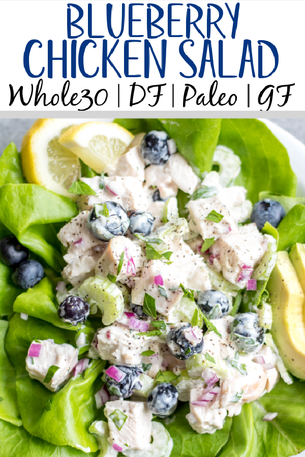 This easy blueberry chicken salad is an easy, healthy salad recipe that's perfect for meal prep lunches or as a way to use leftover chicken. It's Whole30, Paleo, dairy-free and only uses a few simple ingredients. It's great as leftovers, or simple to throw together for gatherings. Made with celery, mayo, pecans and red onion, this Whole30 salad comes together in under 30 minutes! #whole30chickenrecipes #whole30chickensalad #blueberryrecipes #lowcarb #paleochicken