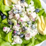 This easy blueberry chicken salad is an easy, healthy salad recipe that's perfect for meal prep lunches or as a way to use leftover chicken. It's Whole30, Paleo, dairy-free and only uses a few simple ingredients. It's great as leftovers, or simple to throw together for gatherings. Made with celery, mayo, pecans and red onion, this Whole30 salad comes together in under 30 minutes! #whole30chickenrecipes #whole30chickensalad #blueberryrecipes #lowcarb #paleochicken