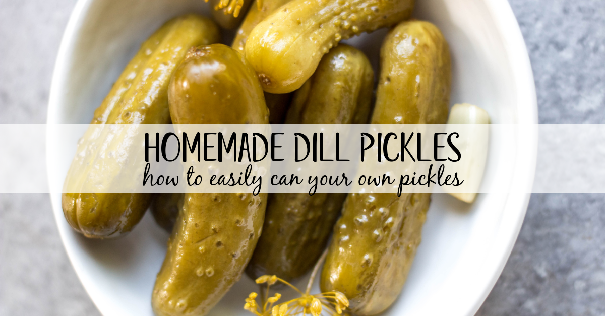 This recipe for canned pickles has been in my family for over 100 years. It's easy, even for a canning beginner, only requires 7 ingredients, including garlic, dill and onions to give them their classic flavor. The mini cucumbers can be crinkle cut into slices, cut into spears, or left whole. This homemade dill pickle recipe yields 40 jars, so you can enjoy them all year, share with family and give as gifts! #homemadepickles #dillpickles #picklerecipe #picklebrine