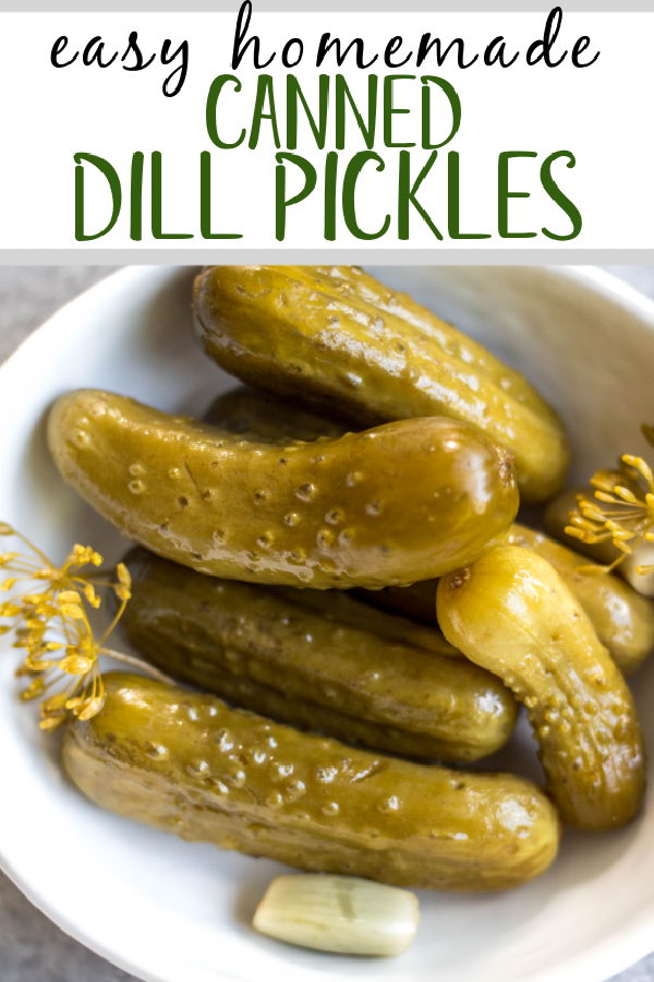 This recipe for canned pickles has been in my family for over 100 years. It's easy, even for a canning beginner, only requires 7 ingredients, including garlic, dill and onions to give them their classic flavor. The mini cucumbers can be crinkle cut into slices, cut into spears, or left whole. This homemade dill pickle recipe yields 40 jars, so you can enjoy them all year, share with family and give as gifts! #homemadepickles #dillpickles #picklerecipe #picklebrine