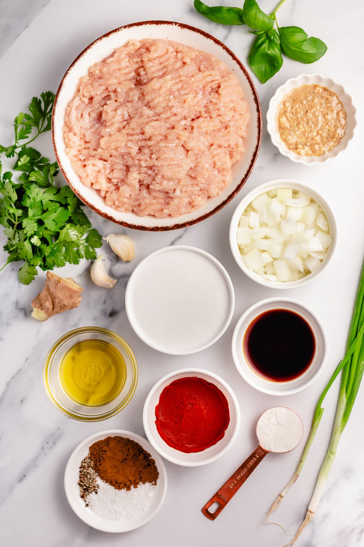 Curry Chicken Meatball Ingredients