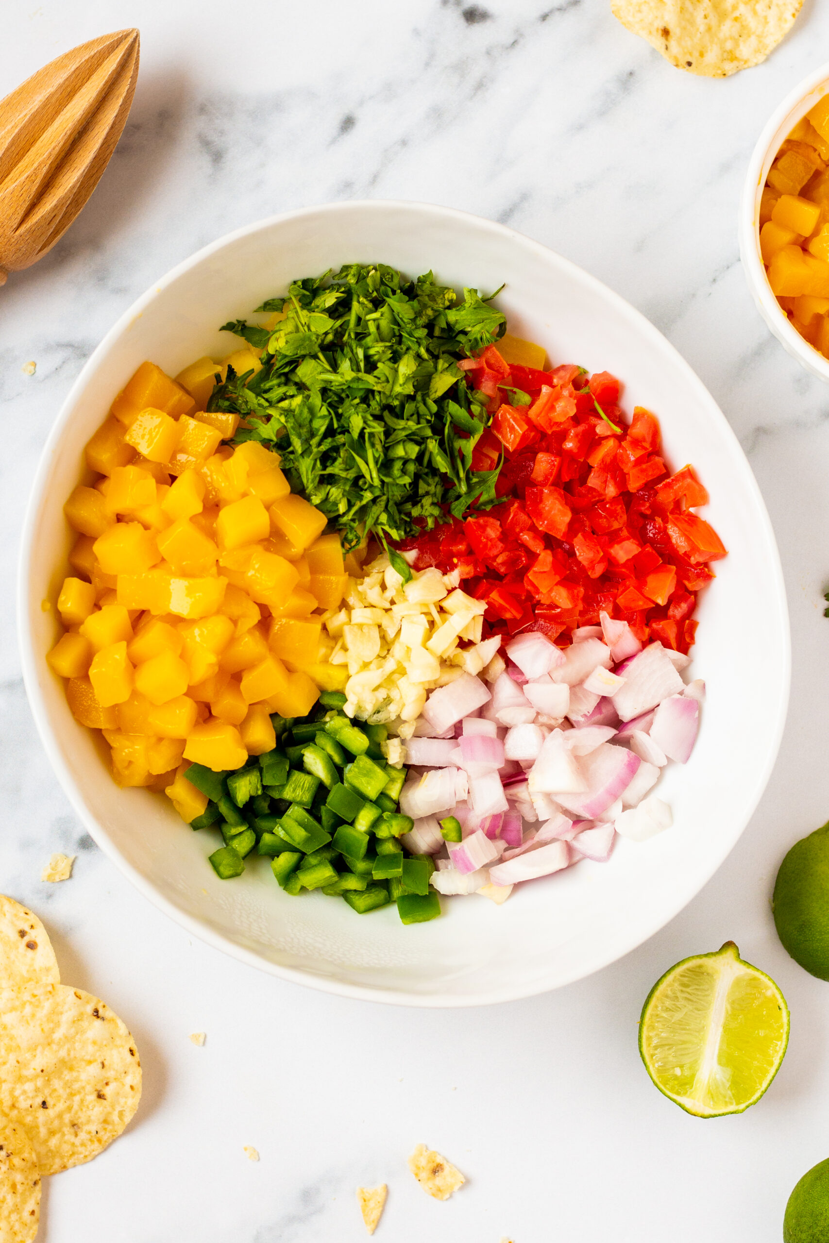 mango-pico-de-gallo-process