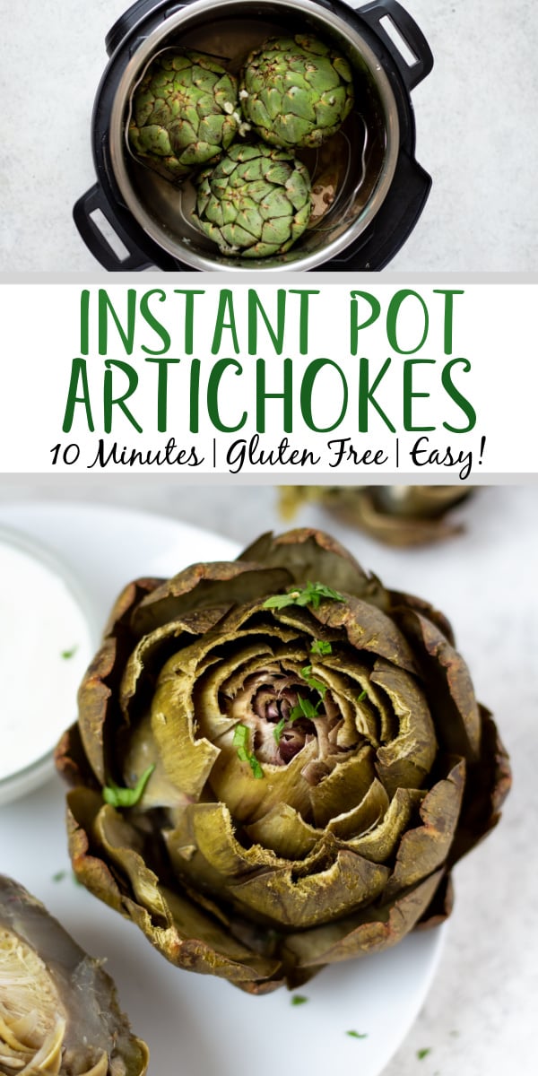 Instant pot artichokes are so easy to make. This healthy vegetable recipe gives you perfectly steamed artichokes in the instant pot in under 30 minutes with minimal prep work needed! Cooking artichokes can be intimidating, but this method is fool proof and makes the best artichokes that are made for dipping or adding to your favorite artichoke recipe. #instantpotartichokes #instantpotvegetables #artichokerecipes