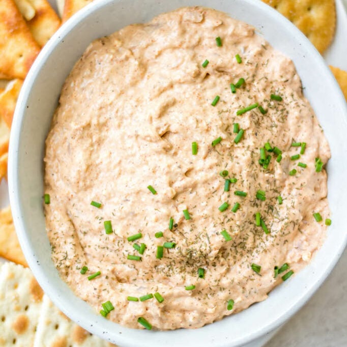 Smoked Tuna Dip Recipe Whole Kitchen Sink